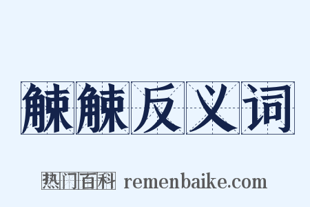 觫觫反义词是什么意思的图片